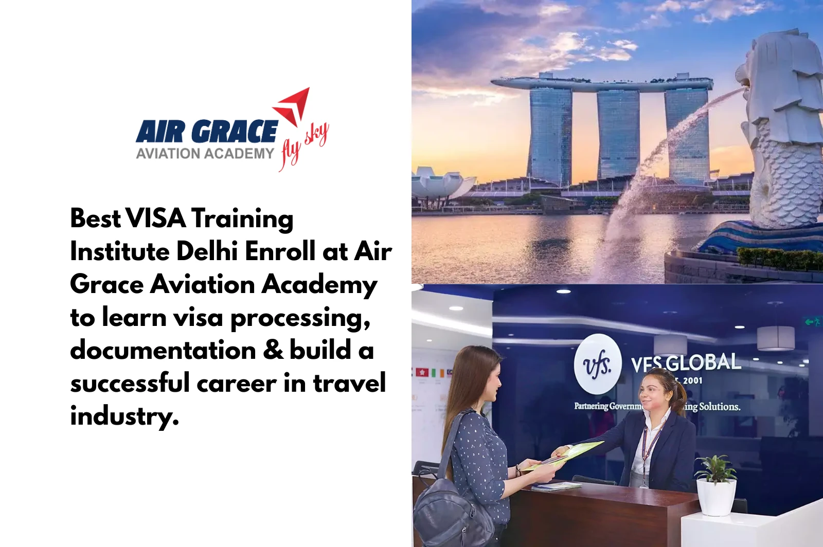 VISA Training Institute Delhi explaining about different types of visas